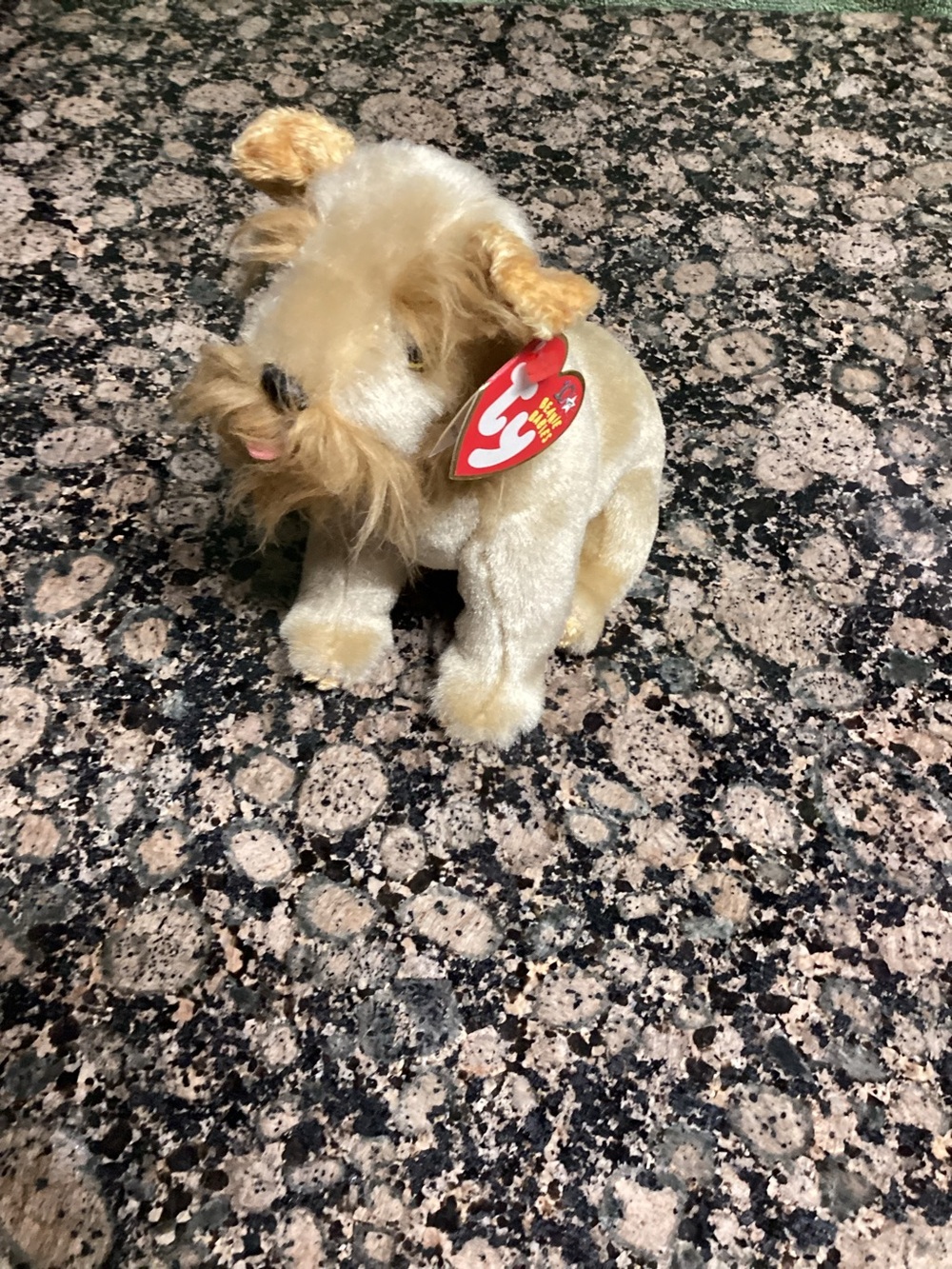 Beanie baby dog “Schnitzel “
